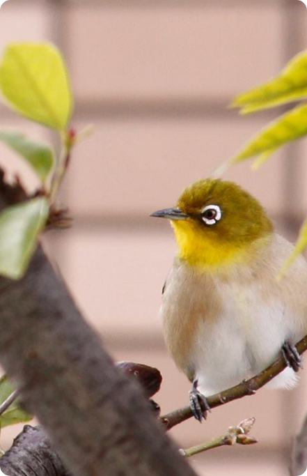 ご依頼前にお伝えしたい事